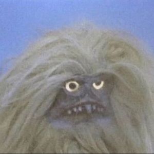 Meet your Posher, Kevin